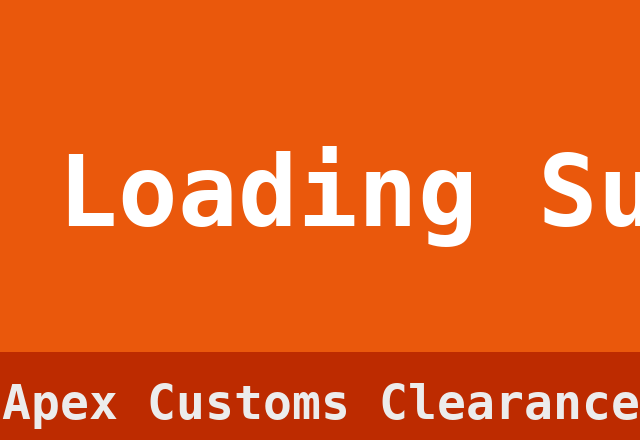 Container Loading Supervision