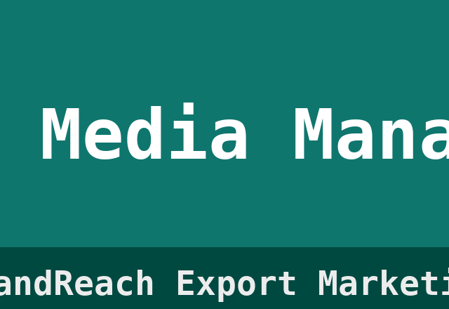 Social Media Management