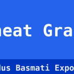 Wheat Grain