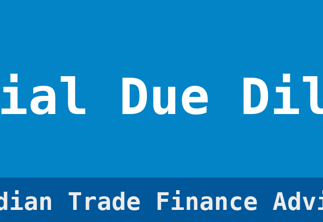 Financial Due Diligence