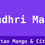 Sindhri Mango