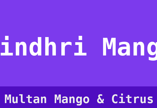 Sindhri Mango