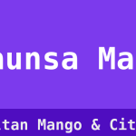 Chaunsa Mango