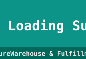 Container Loading Supervision